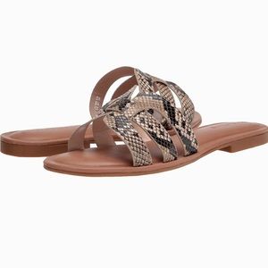 NWT Monika Flat H-Band Slide Sand Color Animal Print Sandal by The Drop Size 8.5